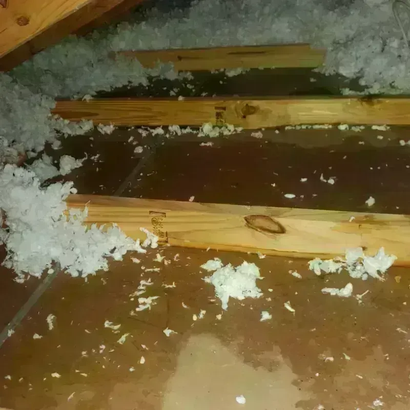 Attic Water Damage in Foard County, TX